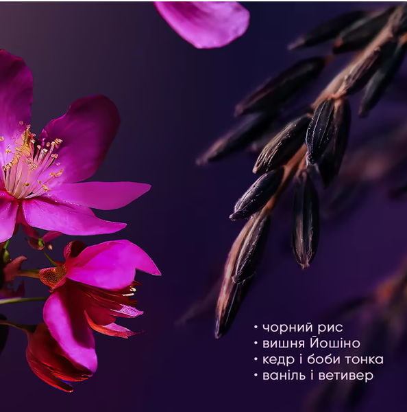 Набір подарунковий Rituals The Ritual Of Yozakura A Love Affair 2-step routine 0000000023379 фото