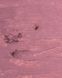 Олівець для губ гелевий Zola №104 Dusty Orchid 0000000023461 фото 4