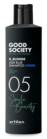 Шампунь відтіночний з попелясто-синьою пігментацією Artego 05 B-Blonde Ash Blue Shampoo 250 мл 0000000018410 фото