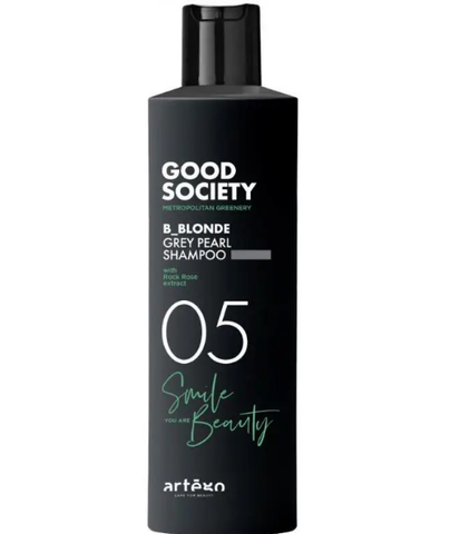 Шампунь відтіночний з попелясто-сірою пігментацією Artego 05 B-Blonde Grey Pearl Shampoo 250 мл 0000000018411 фото